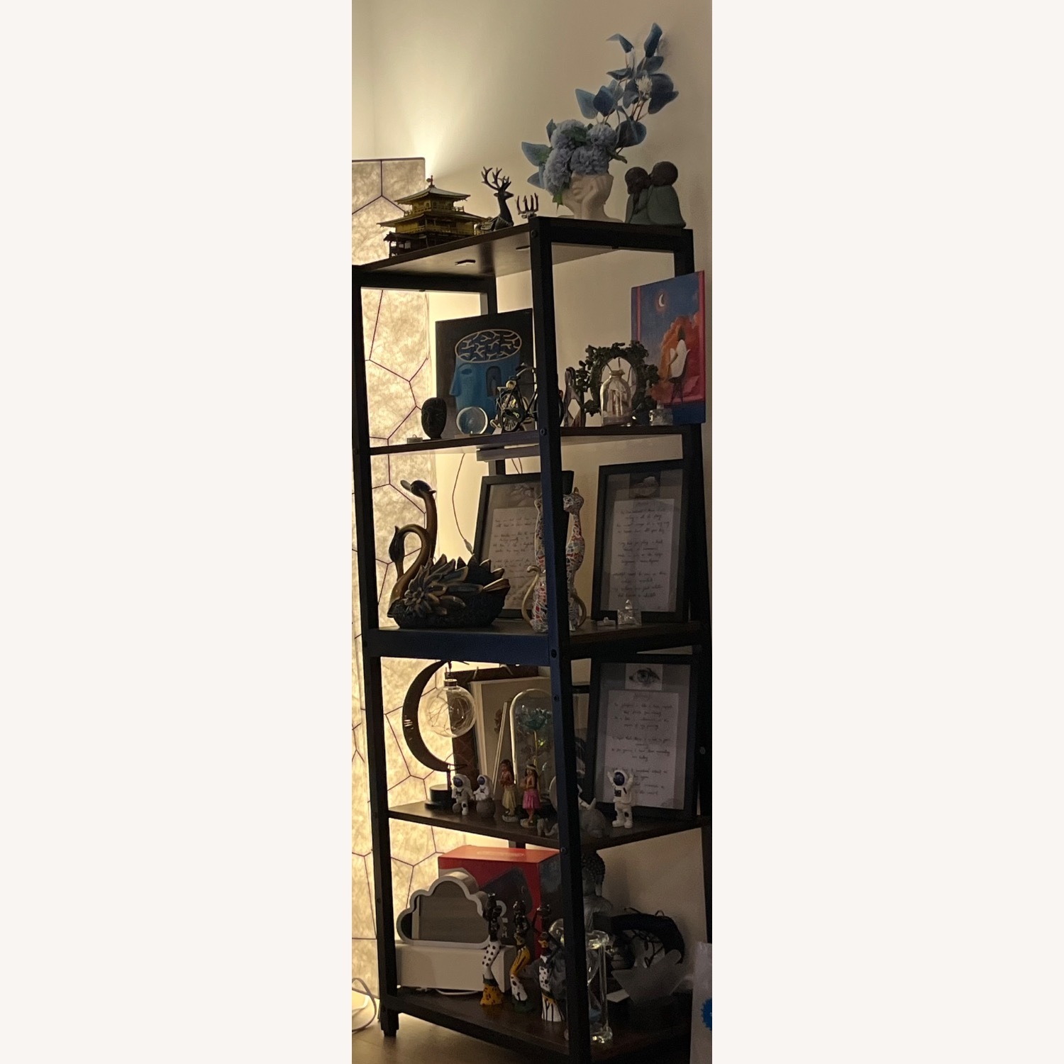 Dark Brown Well Maintained Bookshelf - image-1