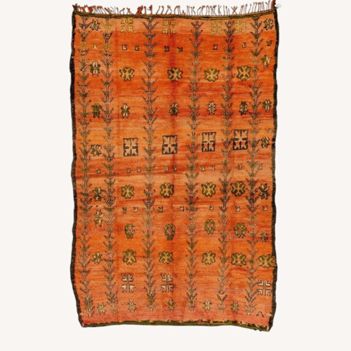 Used Mid Century Moroccan Orange Rug 7×11 for sale on AptDeco