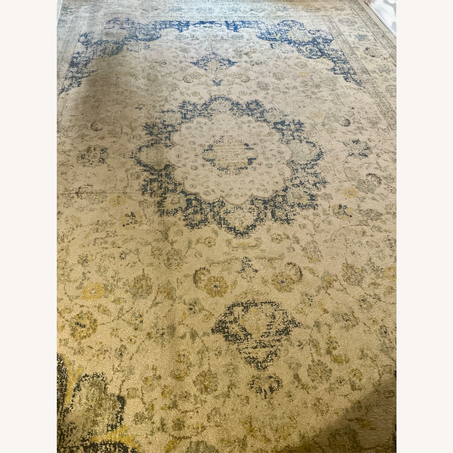 Safavieh Large 10x14' Area Rug - image-9