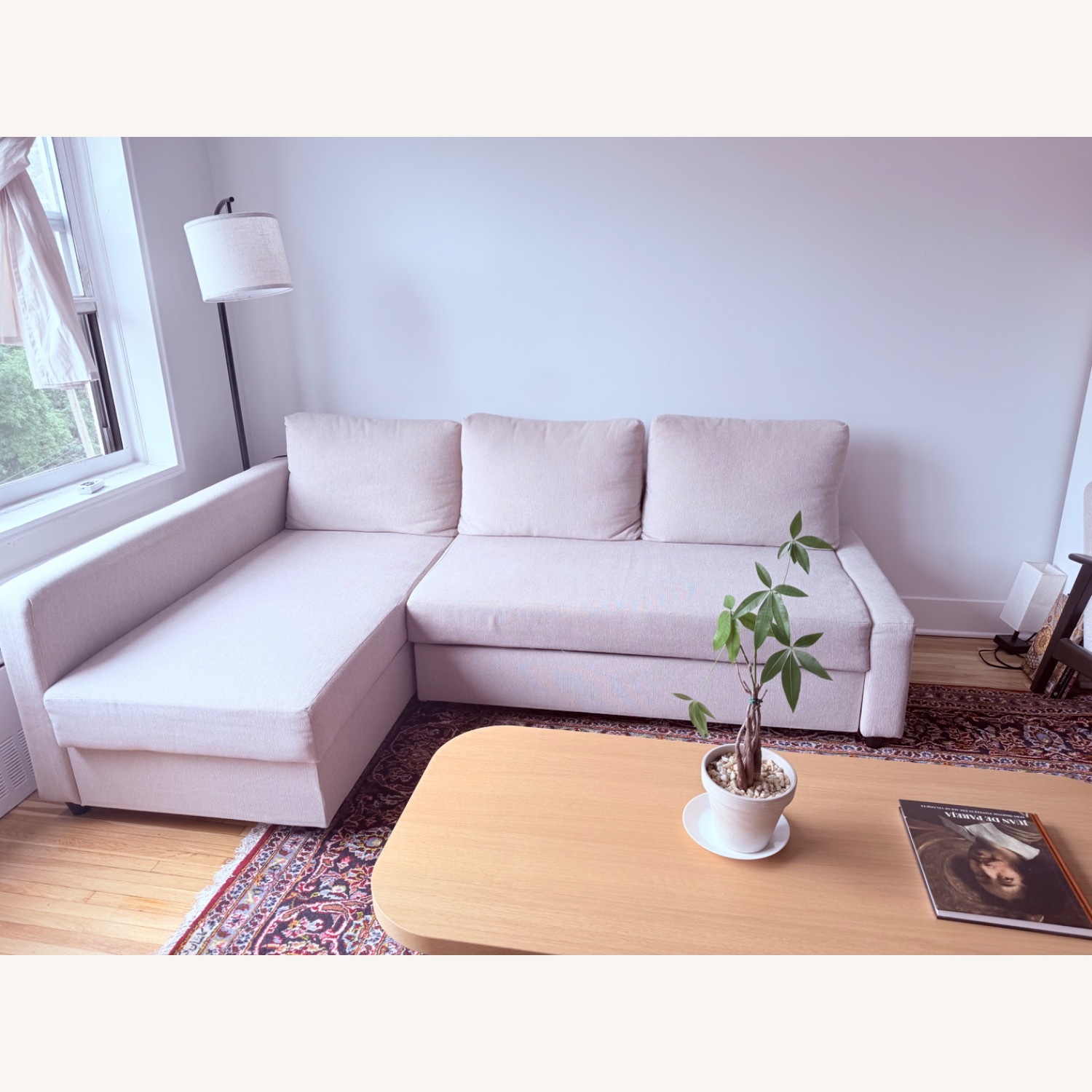 IKEA FRIHETEN Sleeper Sectional Sofa - image-1