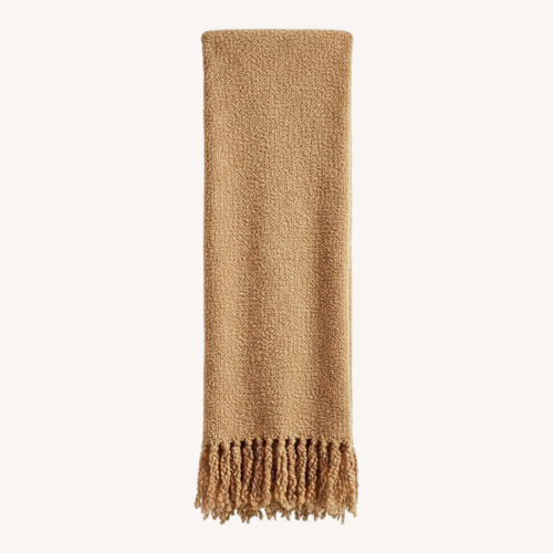 Used Pottery Barn Dreamy Handwoven Fringe Throw for sale on AptDeco