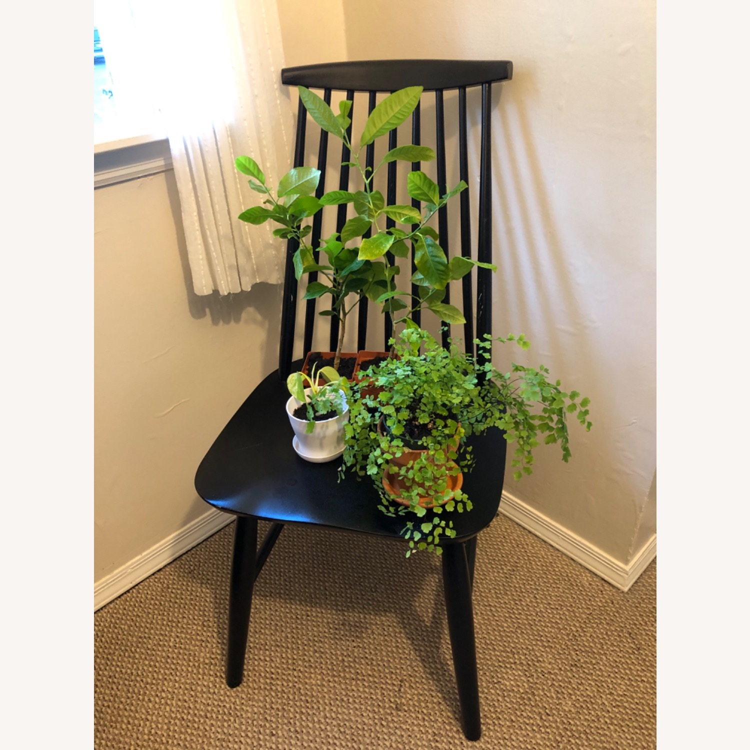Target Black Wood Dining Chair - image-1