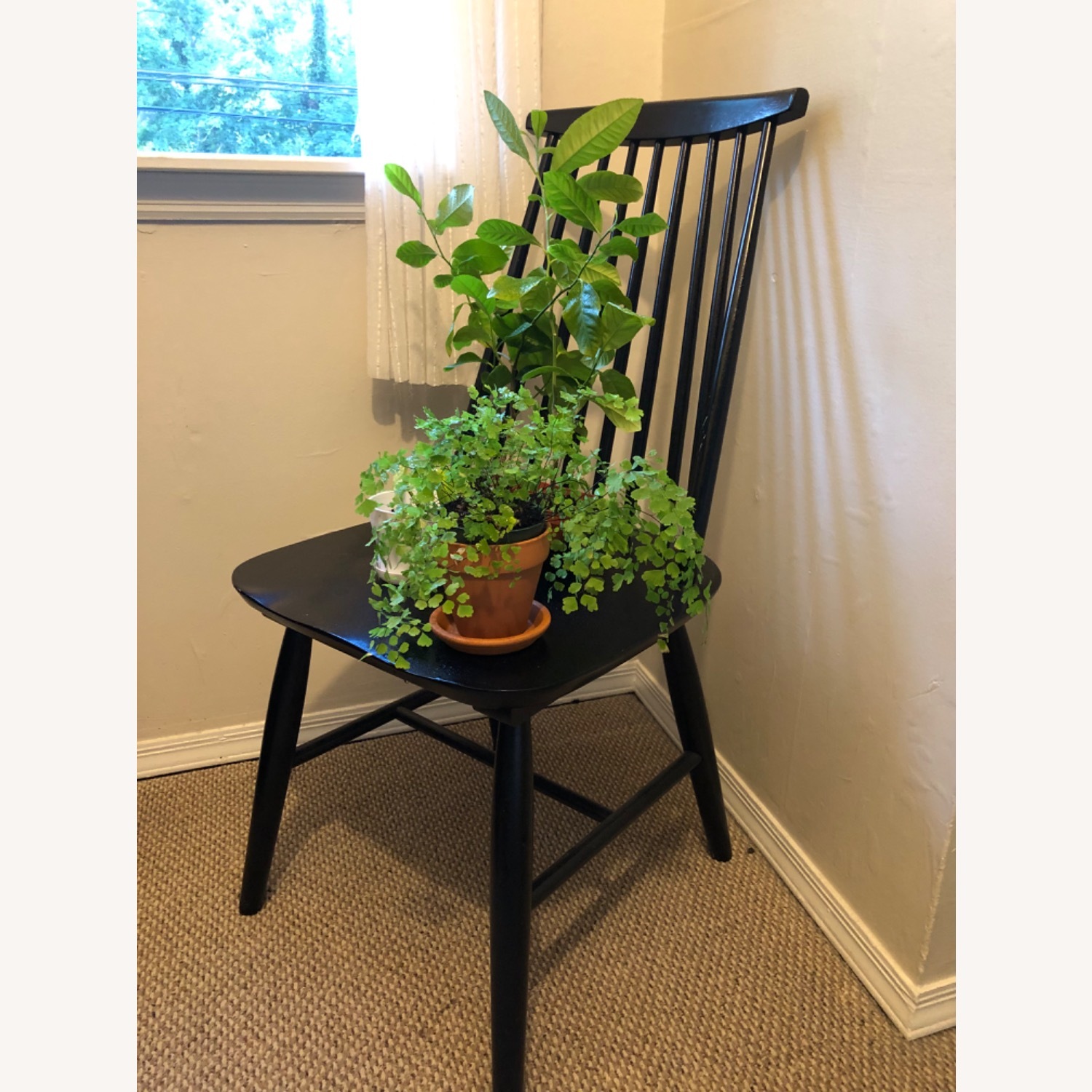 Target Black Wood Dining Chair - image-2
