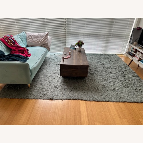 Used Light Gray Area Rug 8' x 10' for sale on AptDeco