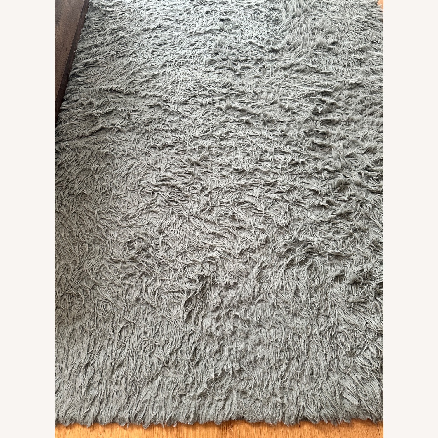 Light Gray Area Rug 8' x 10' - image-2