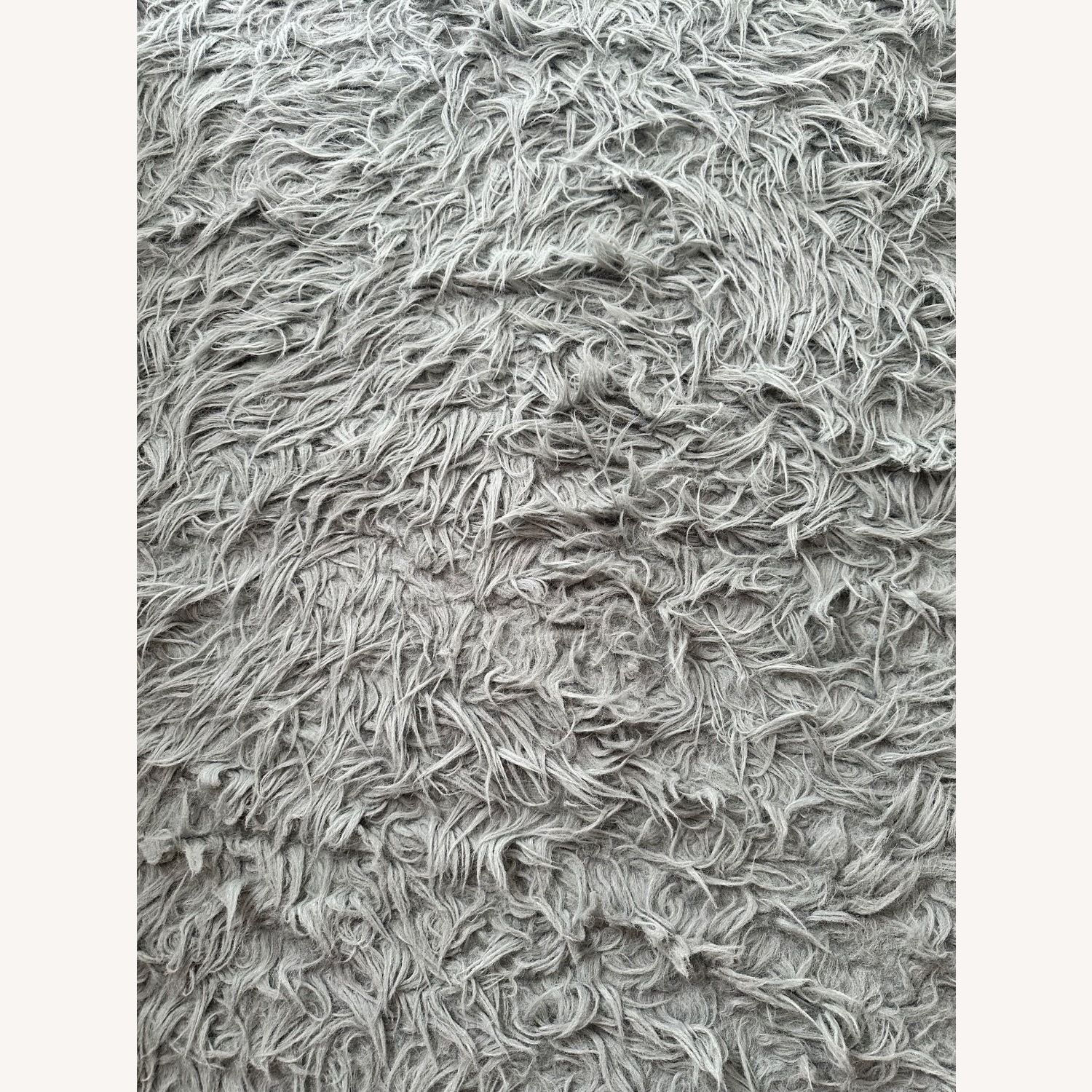 Light Gray Area Rug 8' x 10' - image-3
