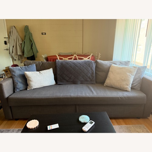 Used IKEA Friheten Sleeper Sofa for sale on AptDeco