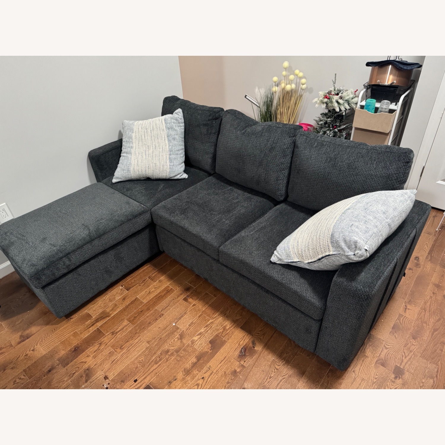 Sleeper Couch W Movable Footrest W Storage - image-1