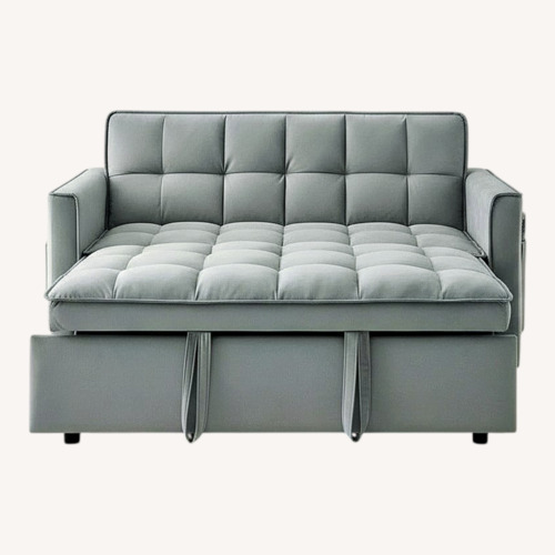 Used Velvet Sleeper Sofa for sale on AptDeco