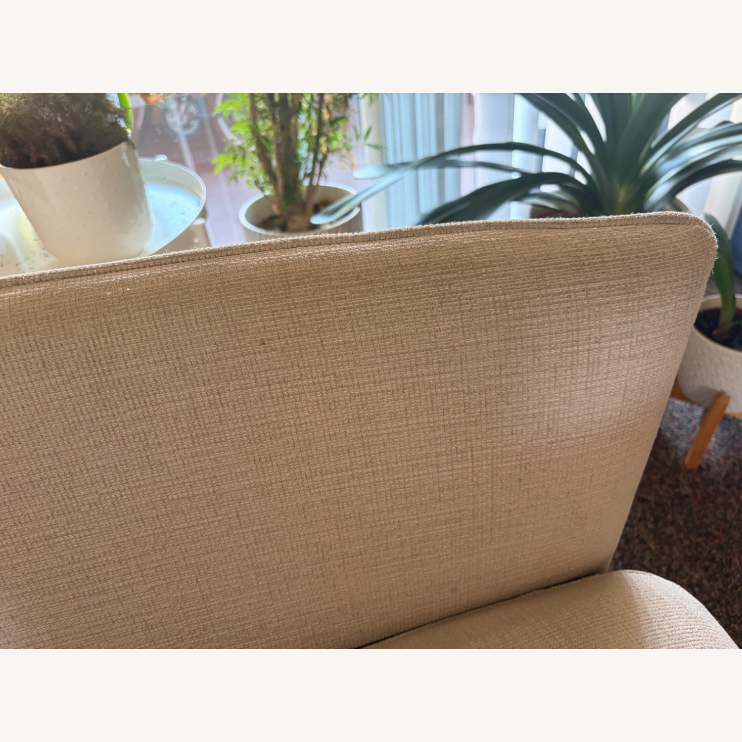 Concept Osaka 2.5 Seater Sofa - image-6