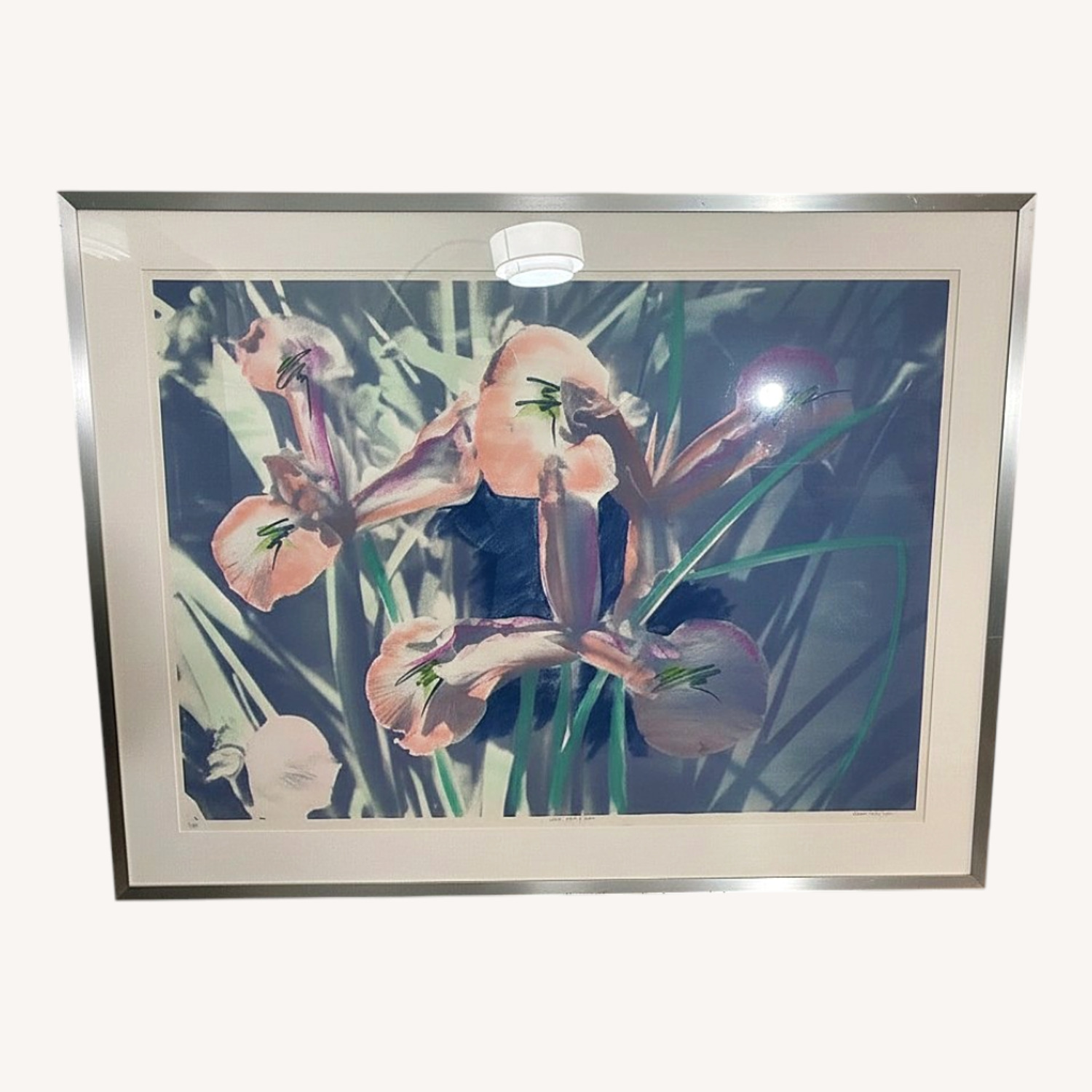Iris Flowers Lithograph Wall Decor - image-0