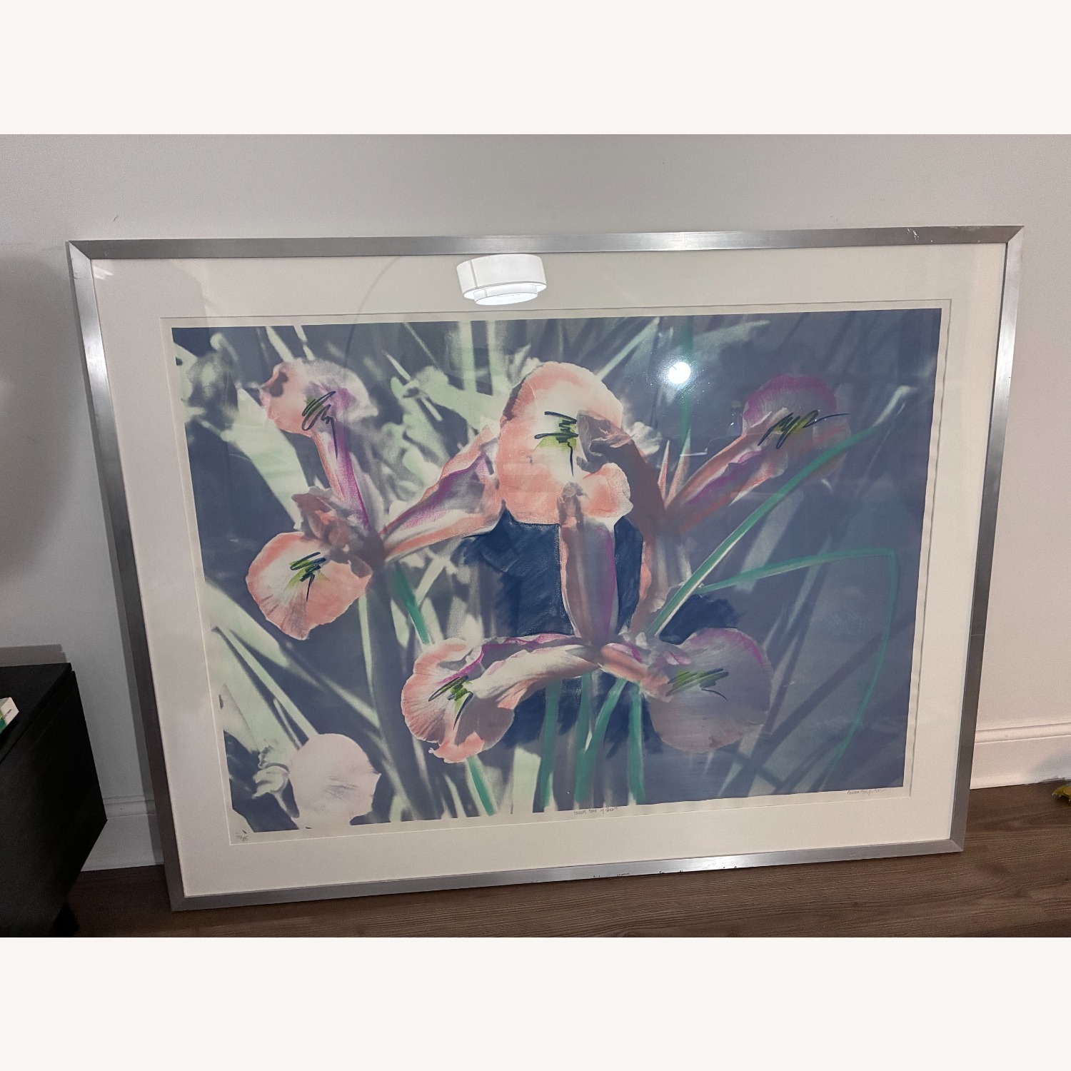 Iris Flowers Lithograph Wall Decor - image-1