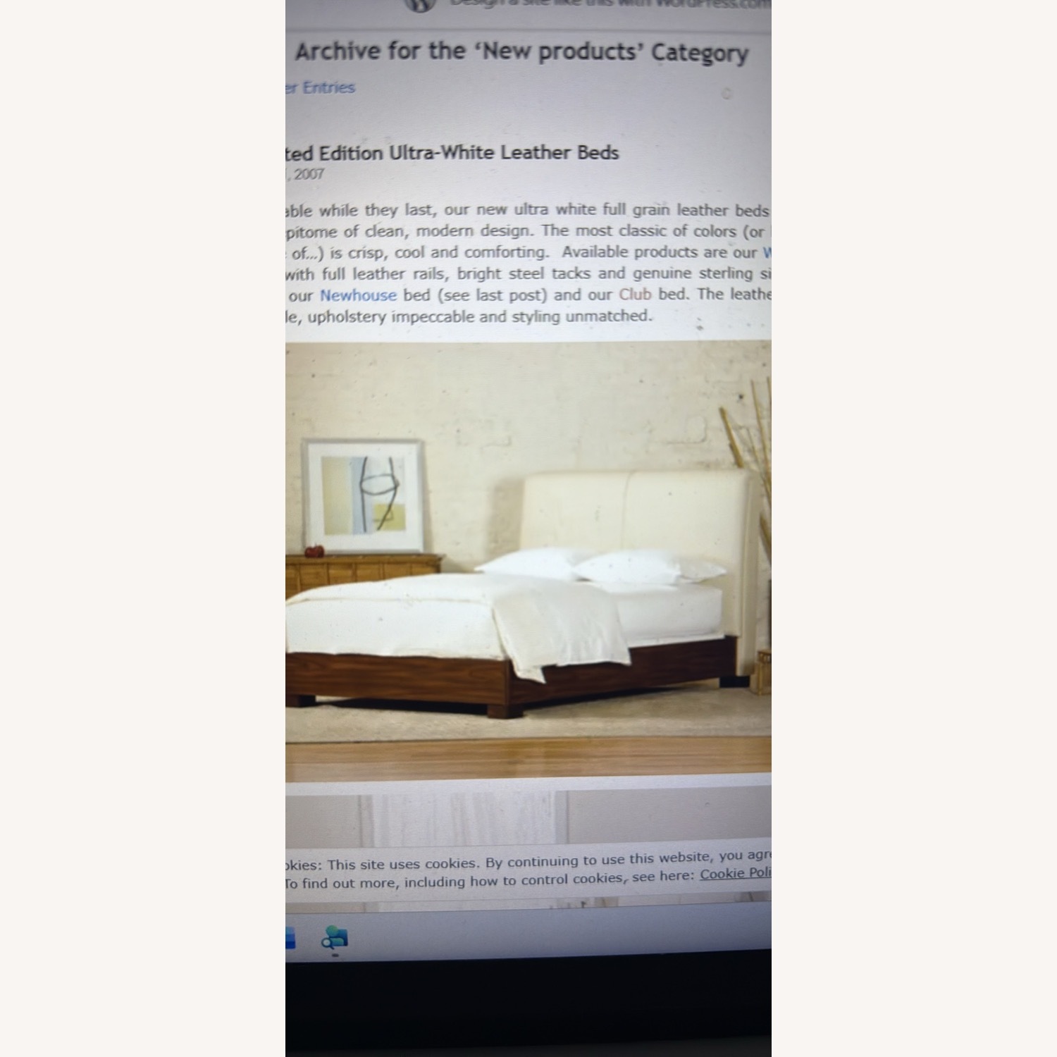 Leather and Mahogany Bed - image-1