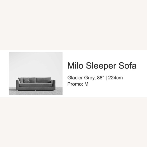 Used Rove Concepts Milo Sleeper Sofa for sale on AptDeco