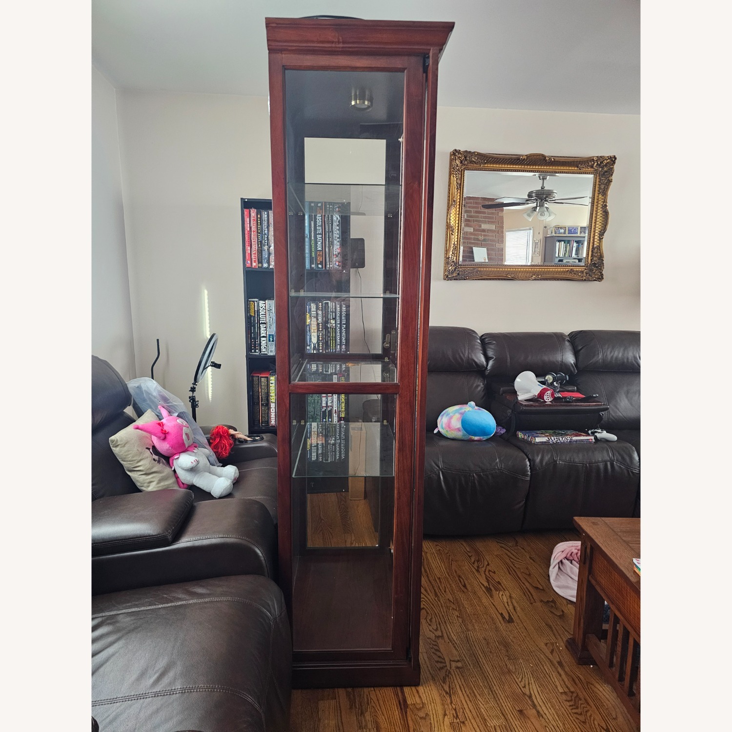 Wood and Glass Display Case - image-5