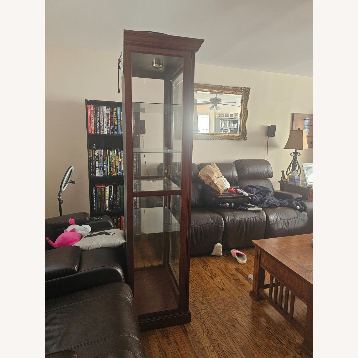 Wood and Glass Display Case - image-2
