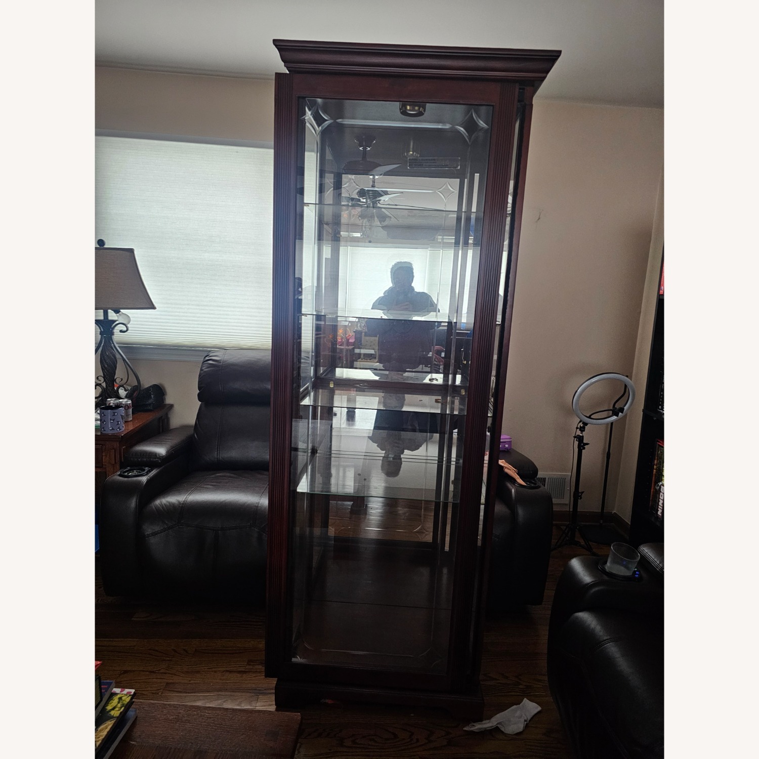 Wood and Glass Display Case - image-4