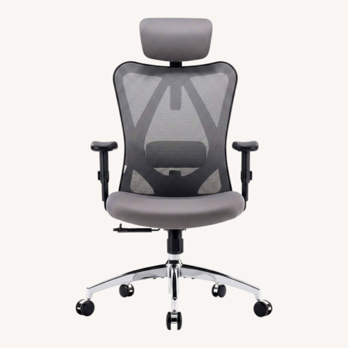 Used SIHOO M18 Ergonomic Office Chair for sale on AptDeco