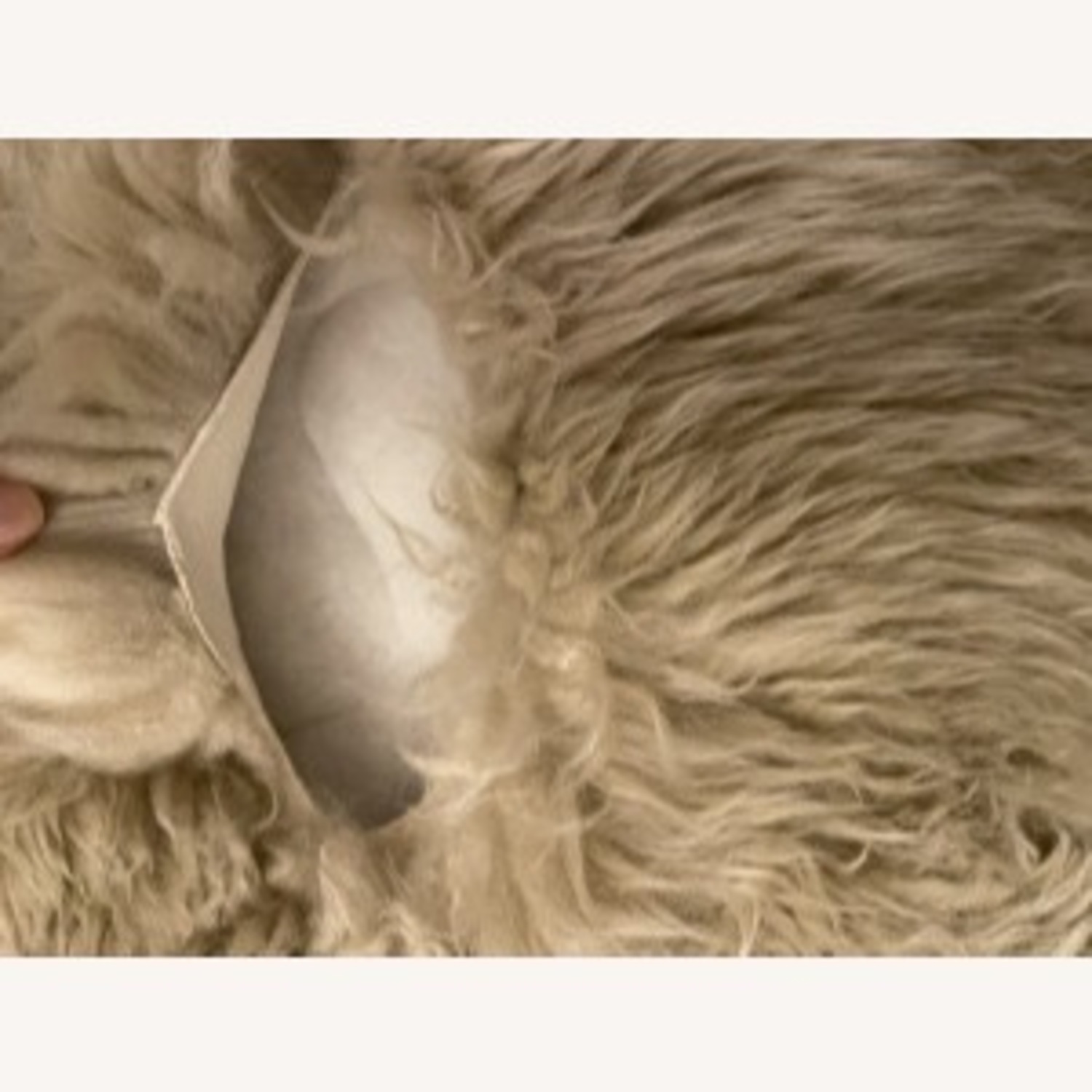 Restoration Hardware Ultra Luxe New Zealand Sheepskin Rug - image-6