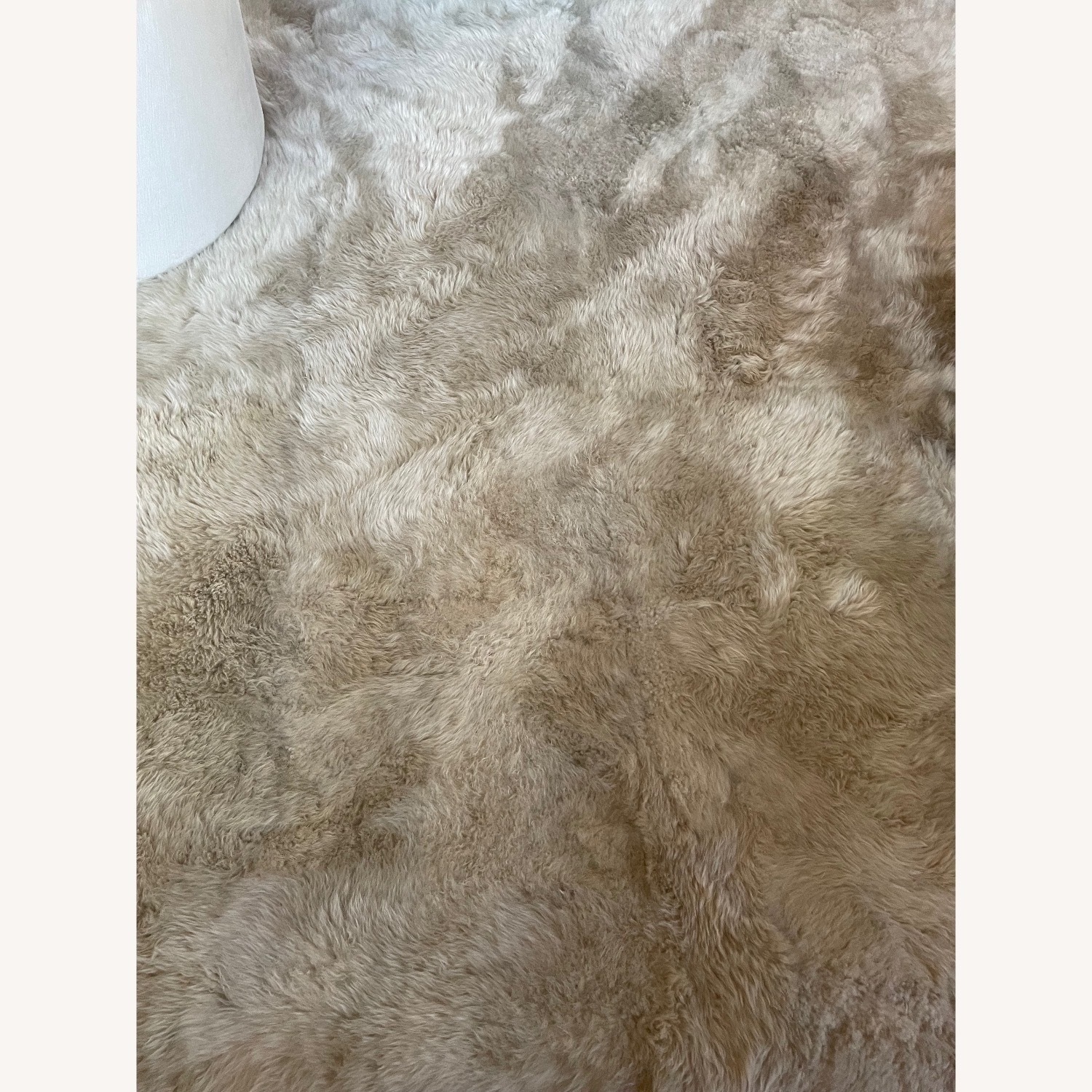 Restoration Hardware Ultra Luxe New Zealand Sheepskin Rug - image-3