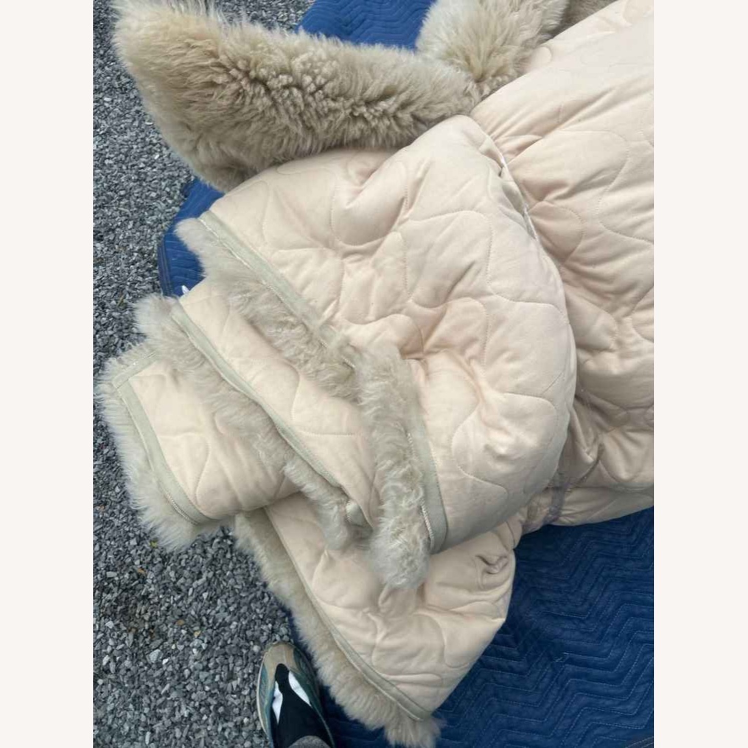 Restoration Hardware Ultra Luxe New Zealand Sheepskin Rug - image-4