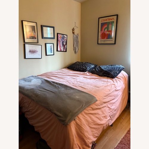 Used Wayfair Alwyn Queen Bed frame for sale on AptDeco