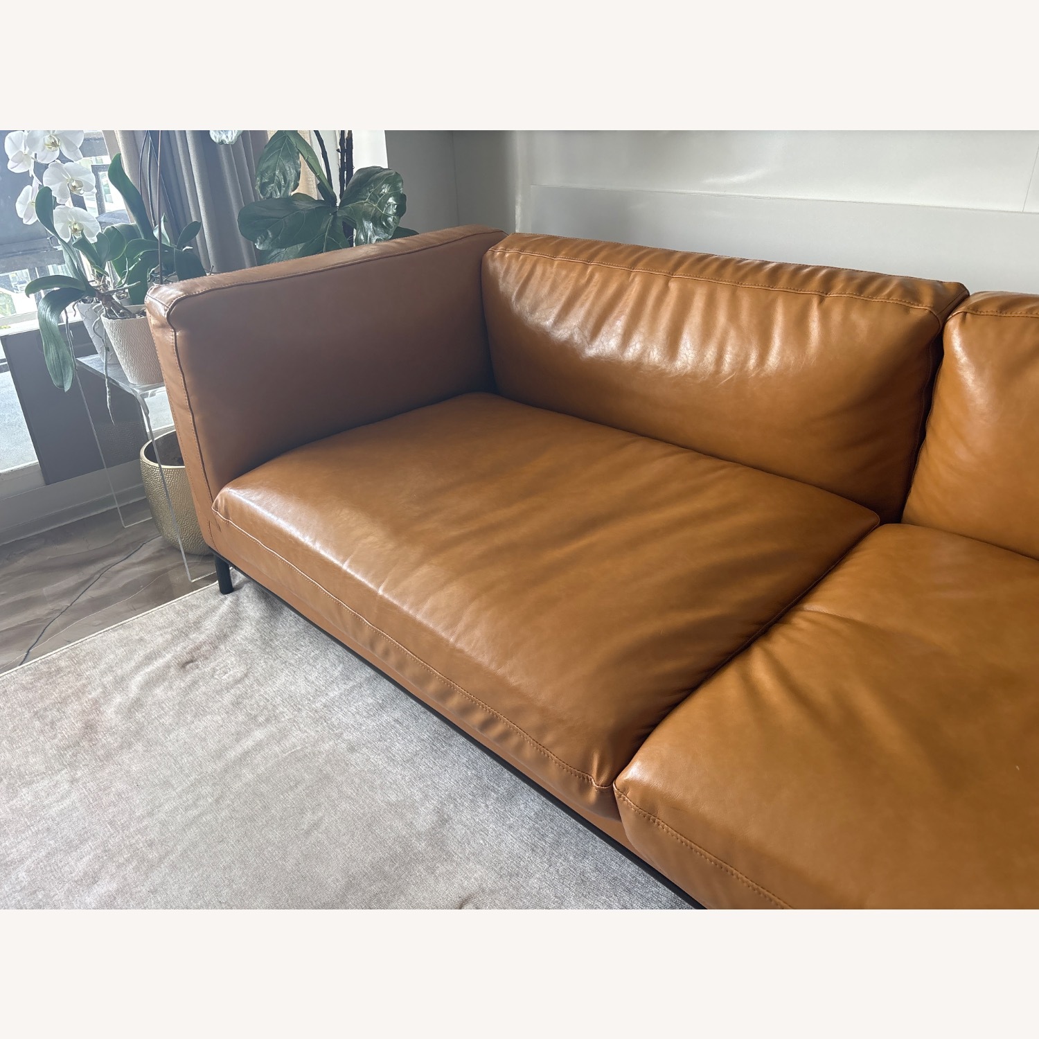 Modani Light Brown Leather 2 Seater Sofa - image-4
