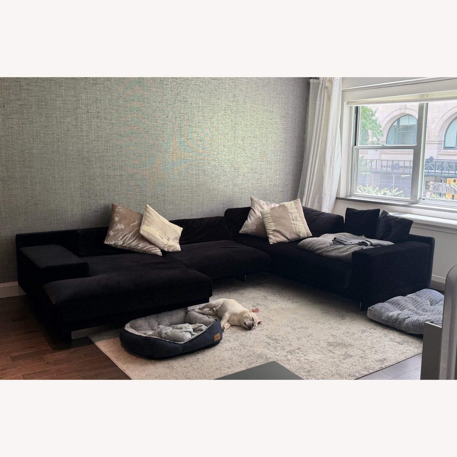 Rove Concepts Dresden Black Velvet 2 Piece Sectional - image-2
