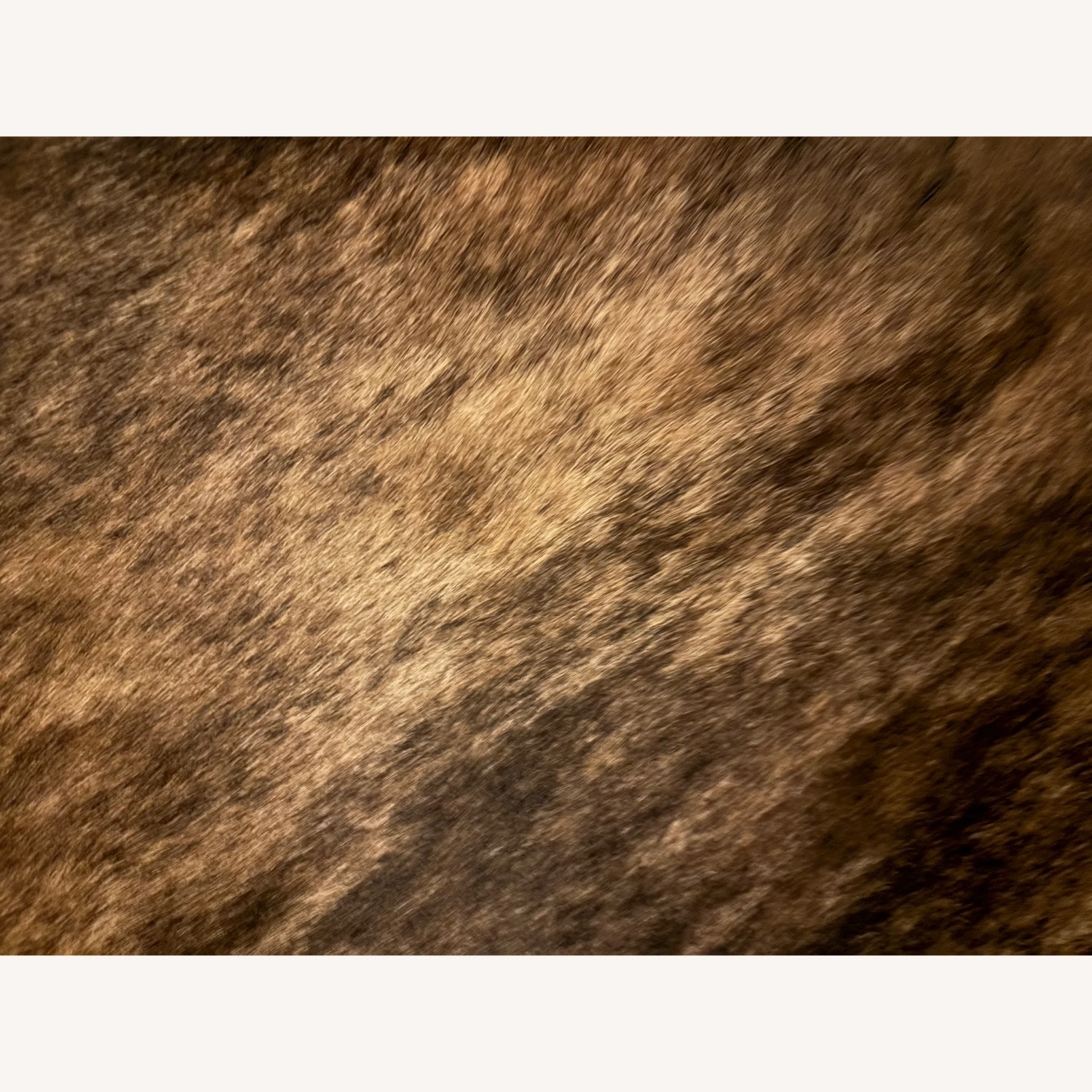 Ligne Roset Hair on Hide Lounge Chair - image-4