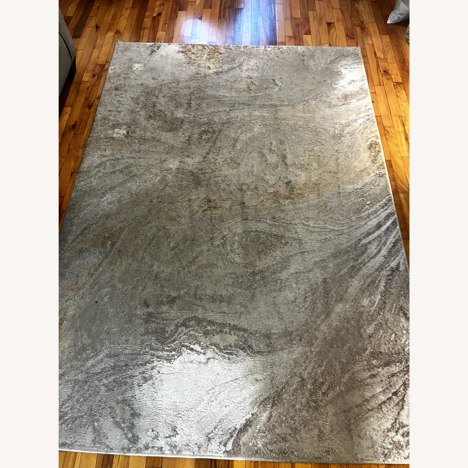 Rug Area Rug 8' x 10' - image-4