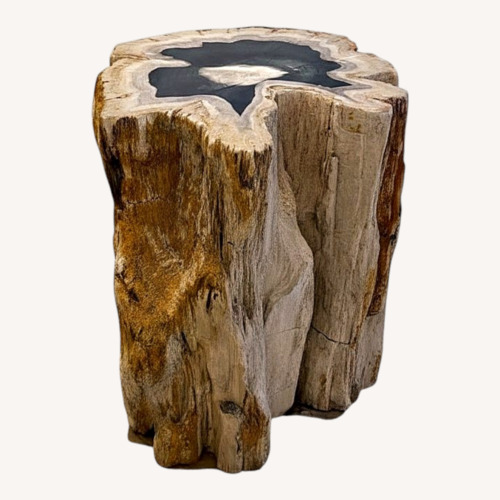 Used Petrified Wood Side Table for sale on AptDeco