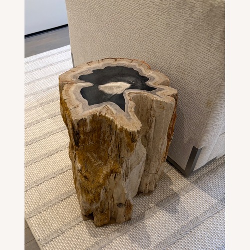 Used Petrified Wood Side Table for sale on AptDeco