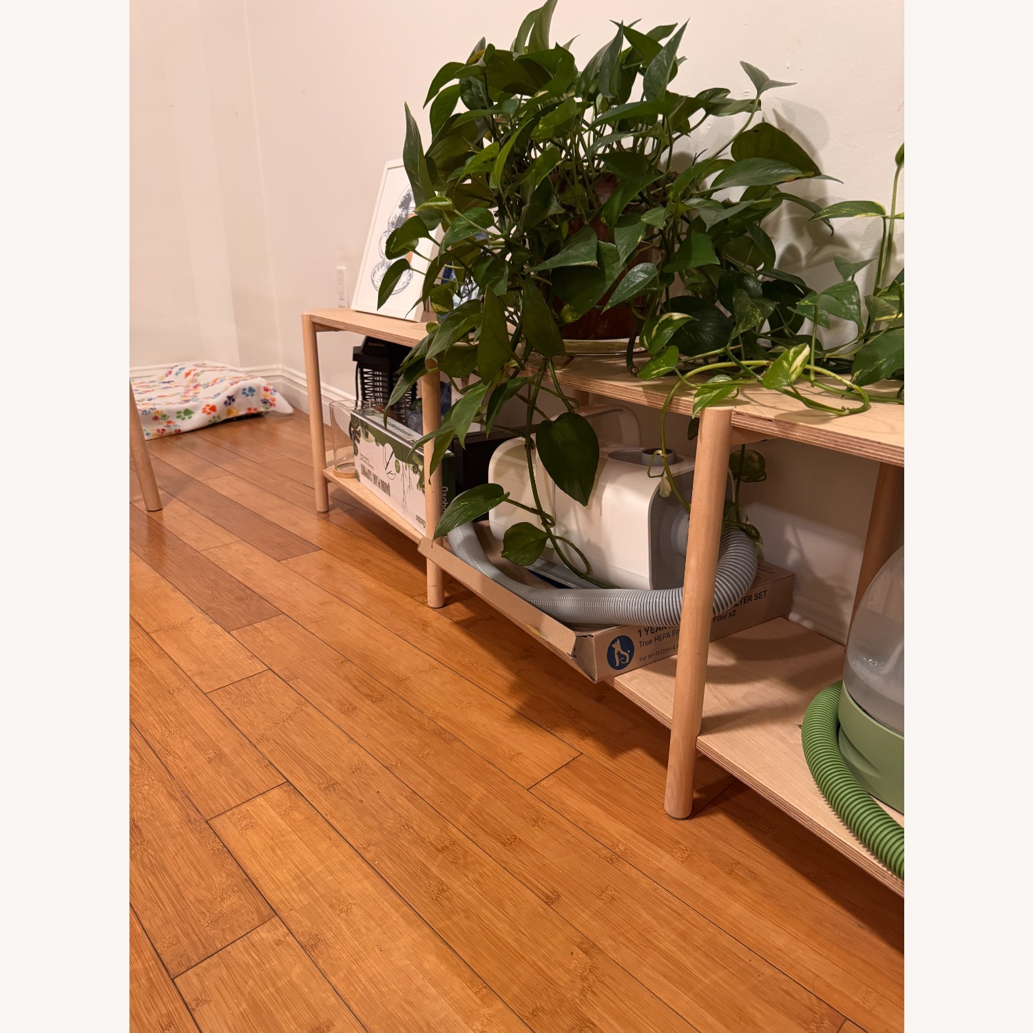 Natural Wood Records Shelf - image-3