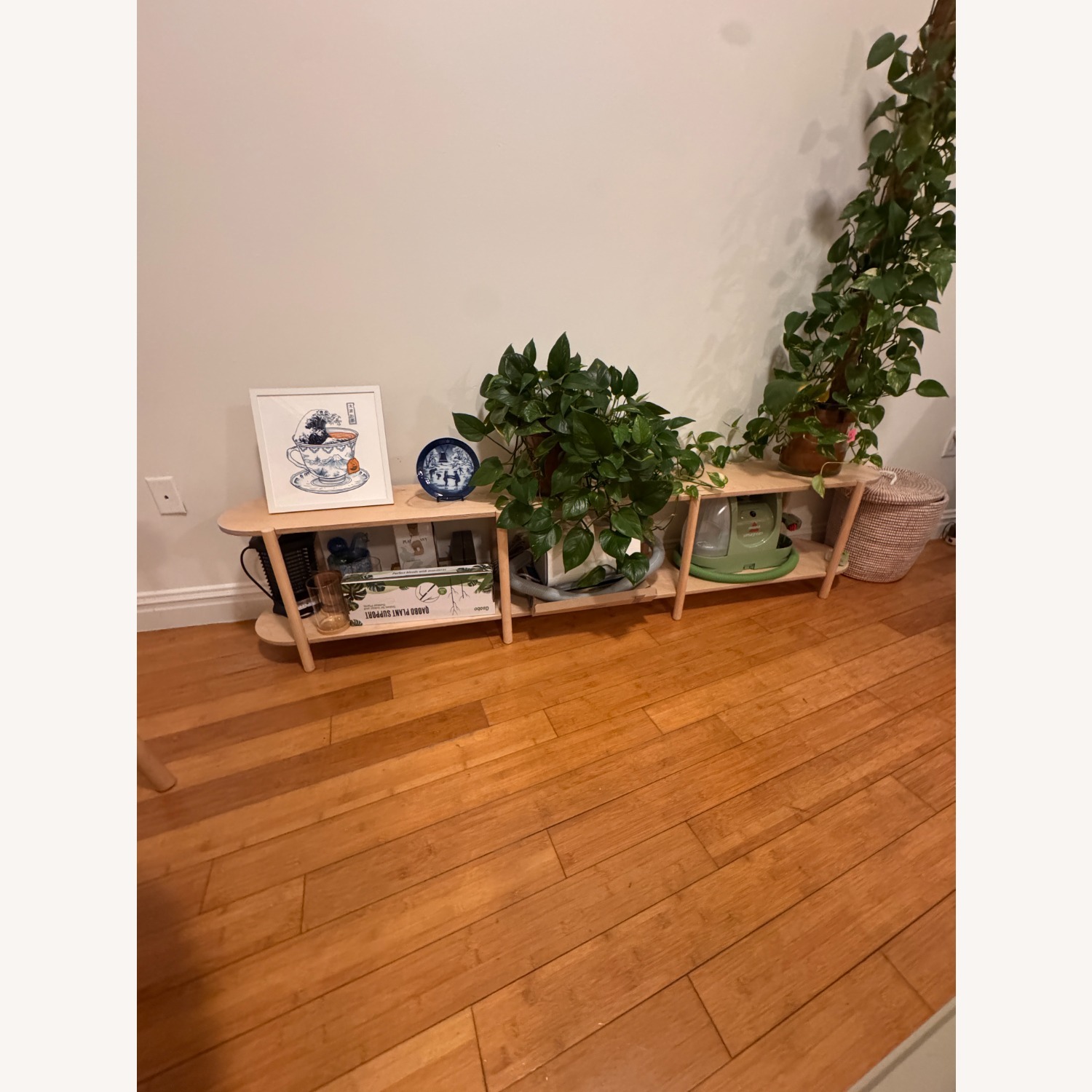 Natural Wood Records Shelf - image-2