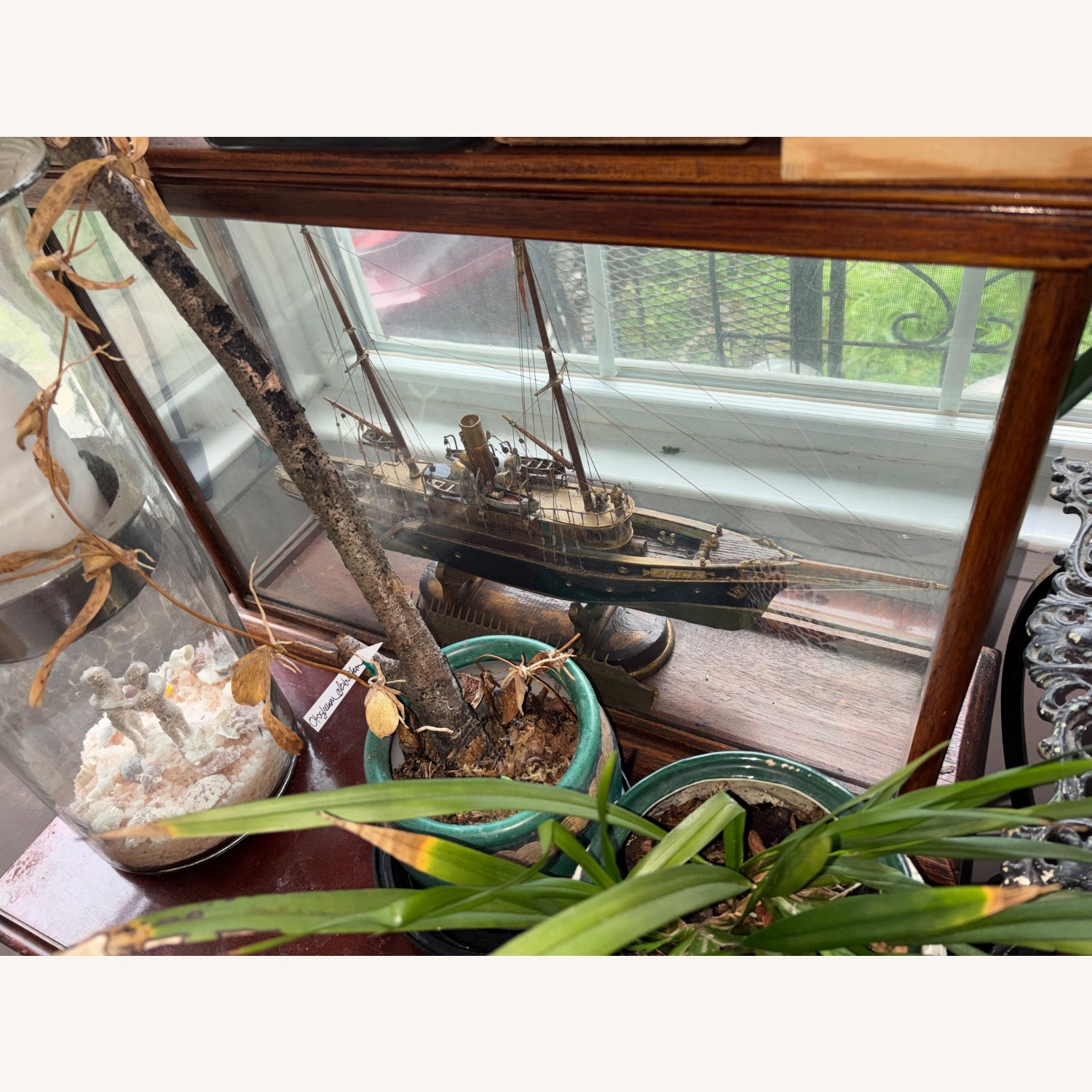 Model Sailing Ship in Display Case - image-3