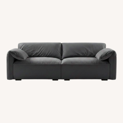 Used Wayfair Dark Gray 2 Seater Sofa for sale on AptDeco
