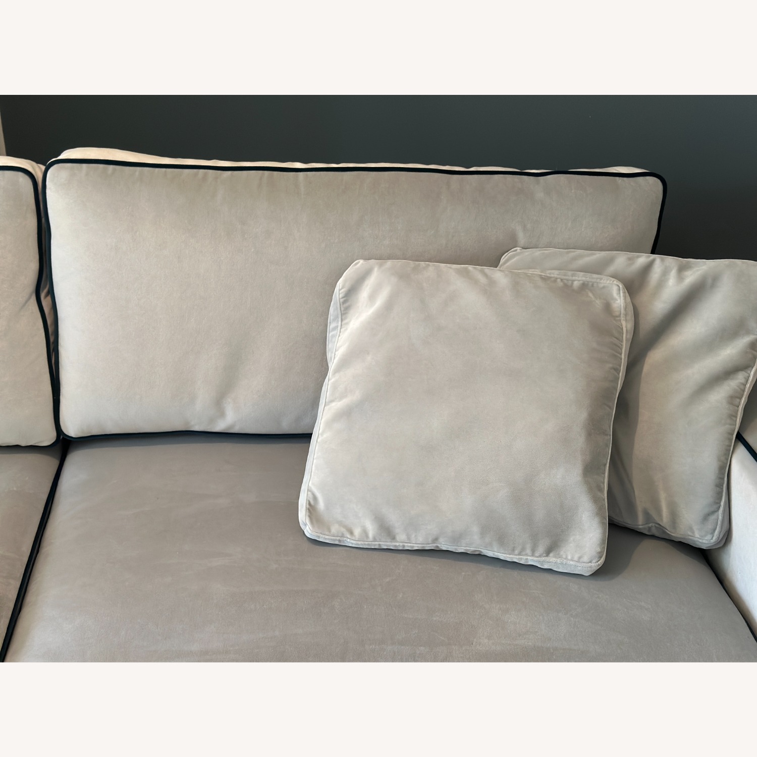 Interior Define James Light Gray Velvet 2 Seater Sofa  - image-4