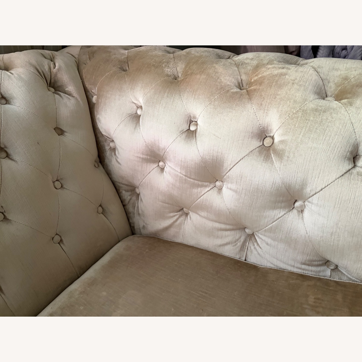 Z Gallerie Velvet Loveseat - image-6