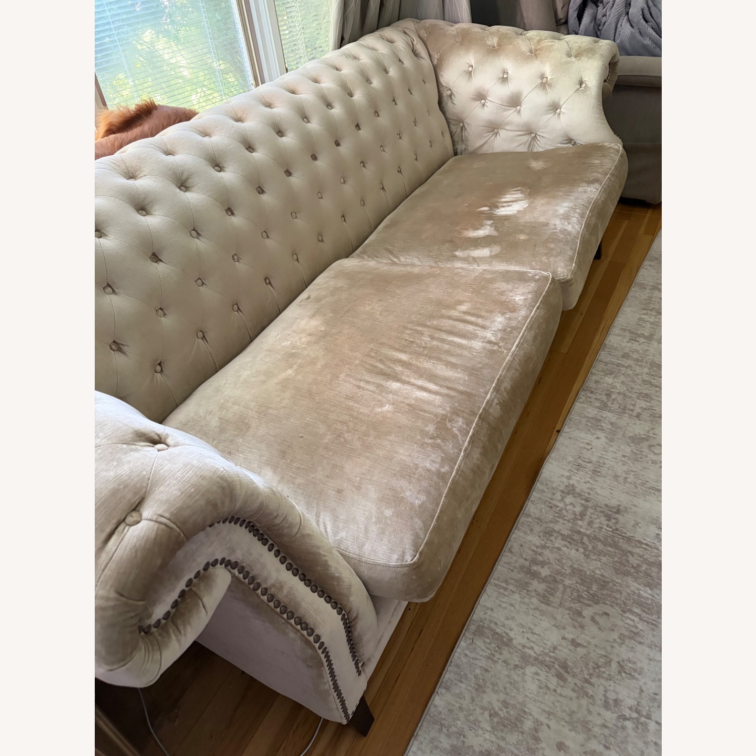Z Gallerie Velvet Loveseat - image-1