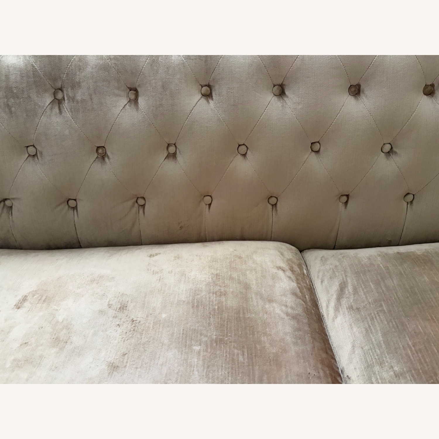 Z Gallerie Velvet Loveseat - image-5