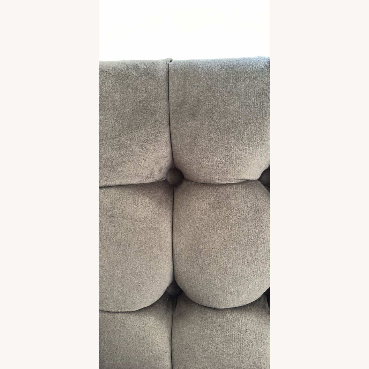 Safavieh Amaris Light Gray Velvet Accent Chair - image-4
