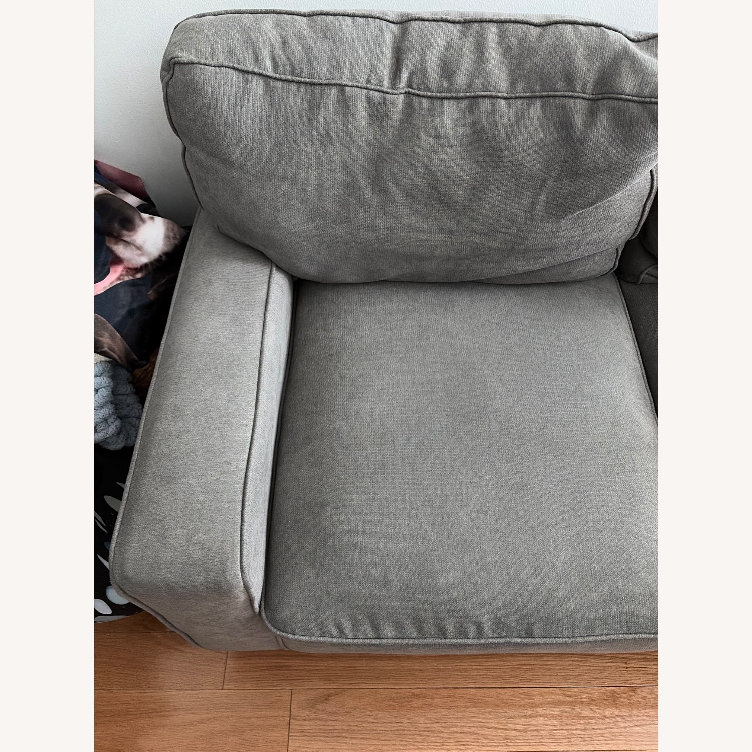 Serta Palisades Light Gray 2 Seater Sofa - image-4