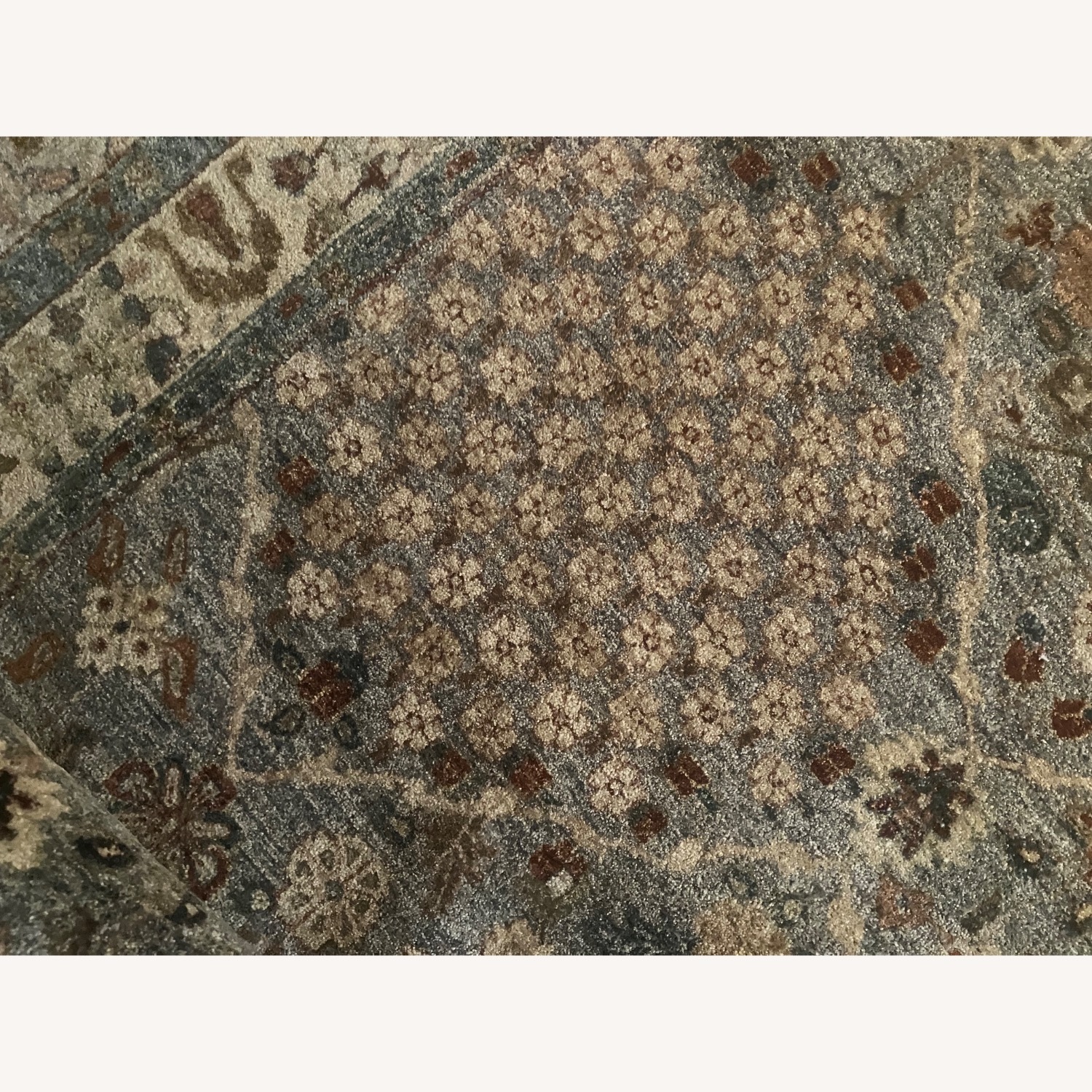 Large Sage-Colored (Multi) Area Rug - image-6