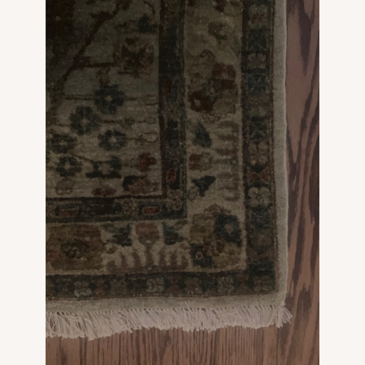 Large Sage-Colored (Multi) Area Rug - image-5