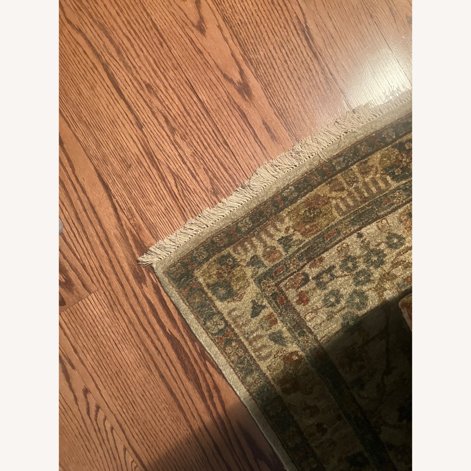 Large Sage-Colored (Multi) Area Rug - image-7