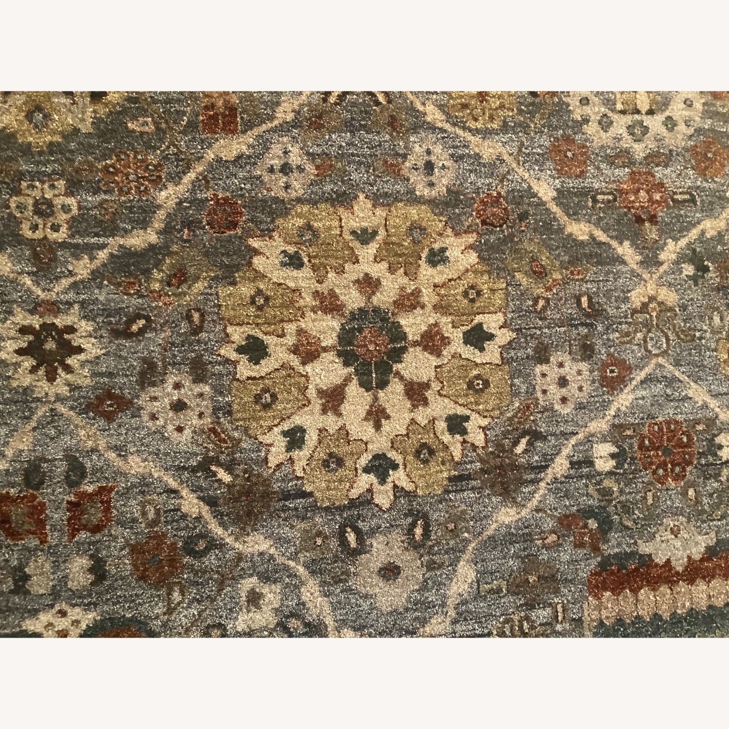 Large Sage-Colored (Multi) Area Rug - image-8