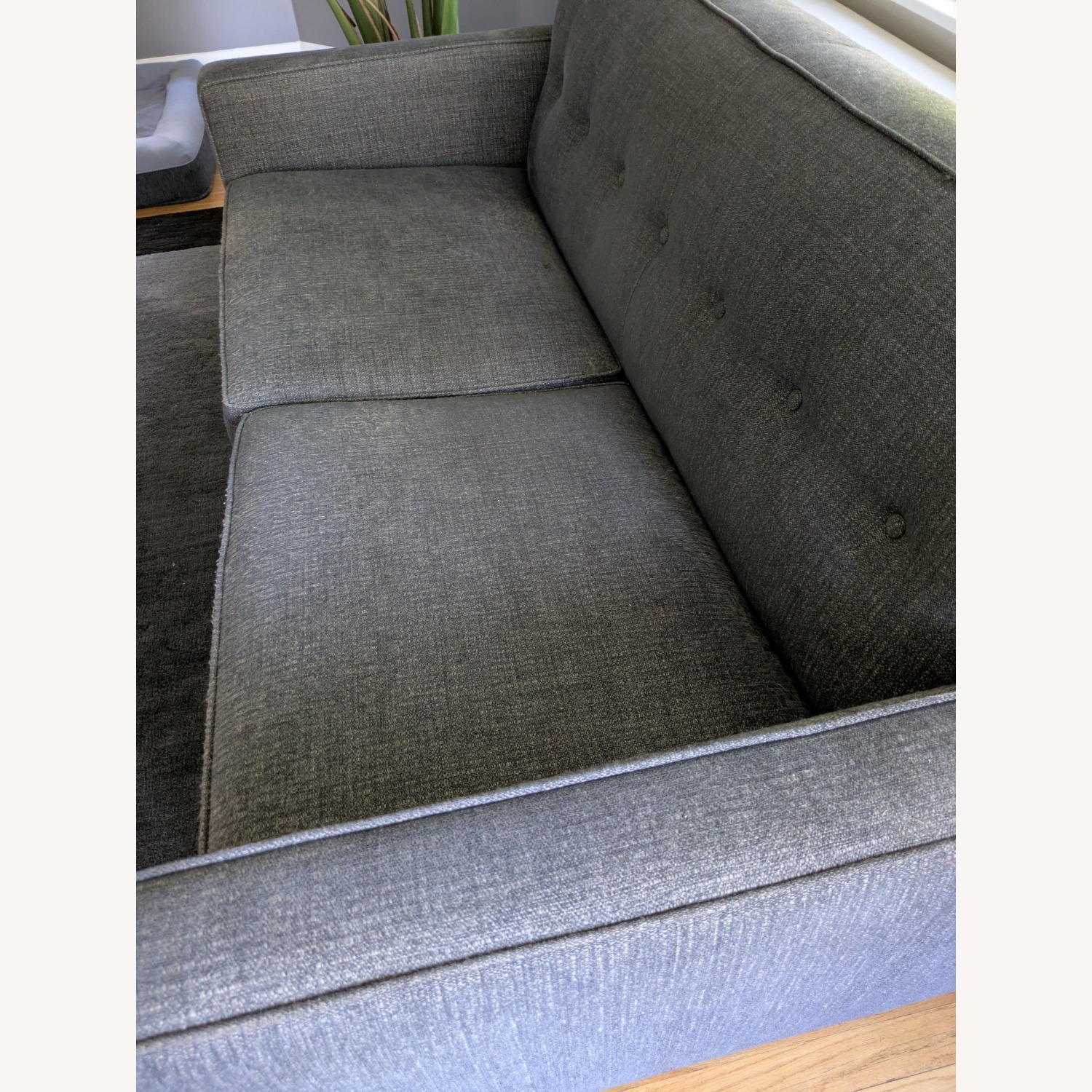 Room & Board Andre 65" Sofa - image-2