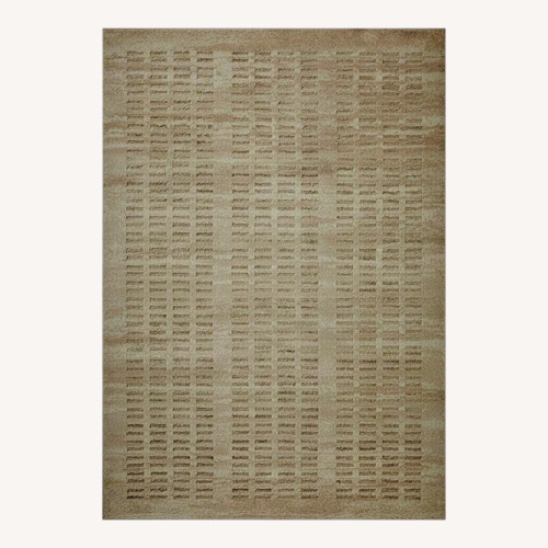 Used Wayfair Natural Area Rug for sale on AptDeco