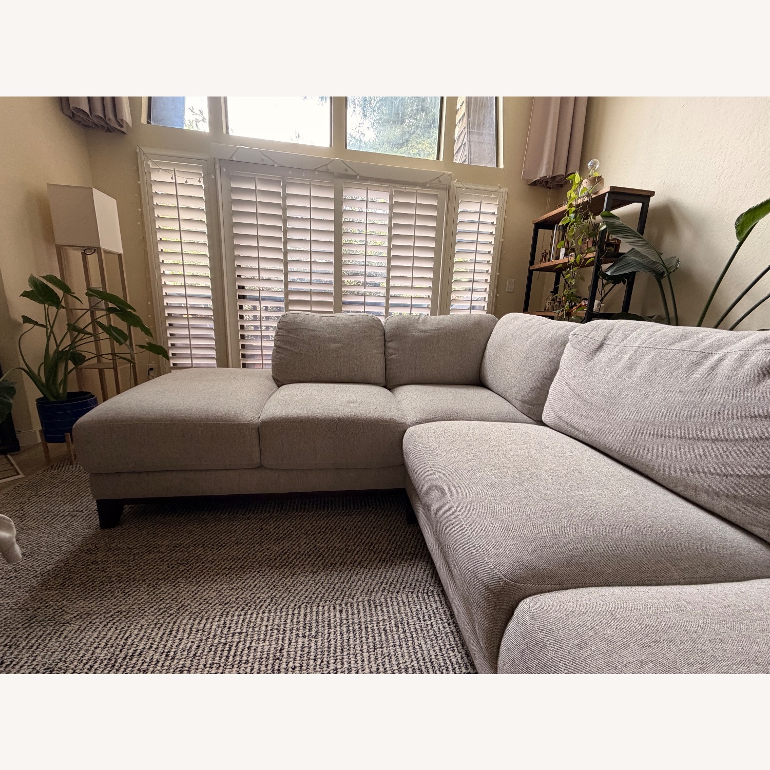 Living Spaces Light Gray Chaise Lounge - image-2