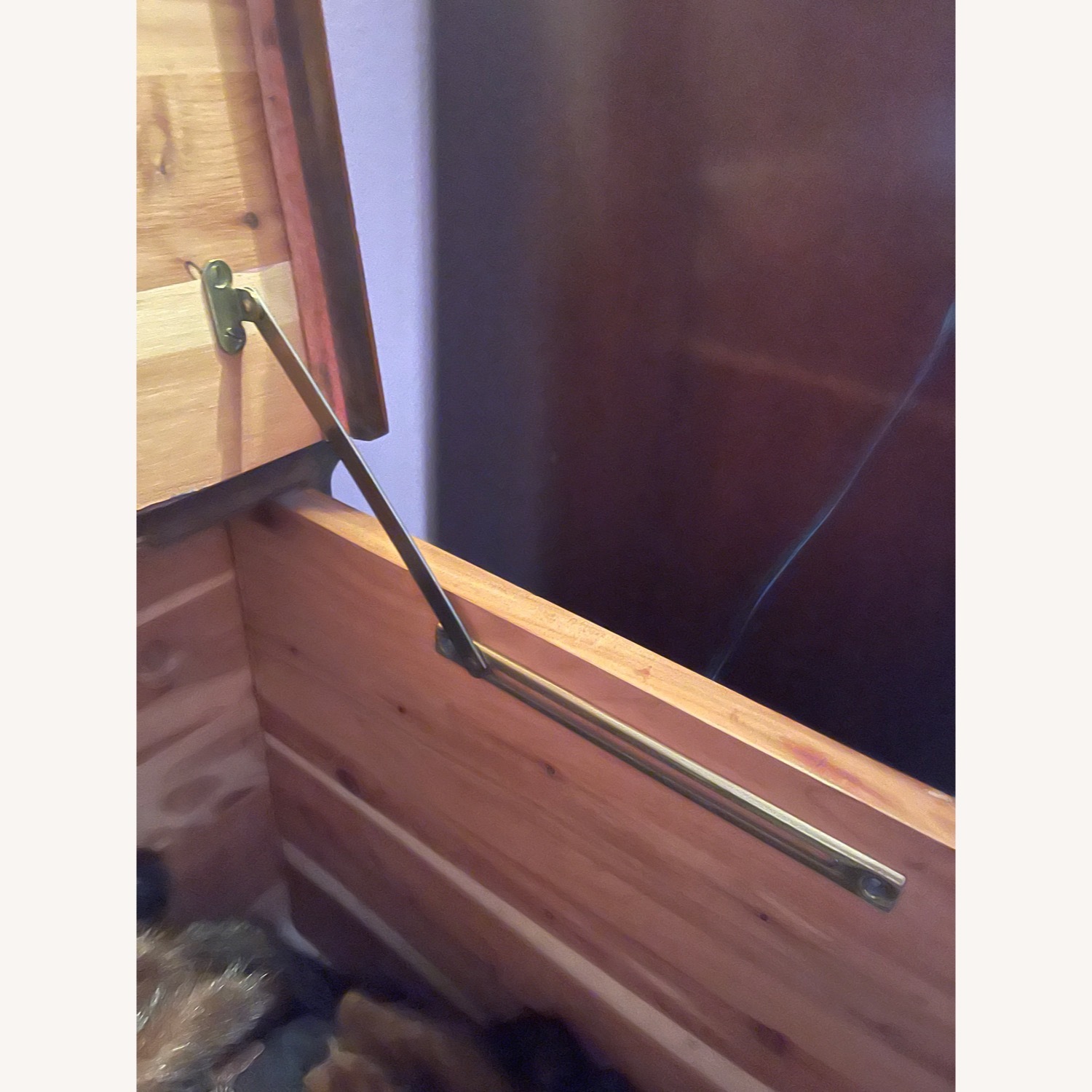 Vintage Forest Park Cedar Chest - image-2